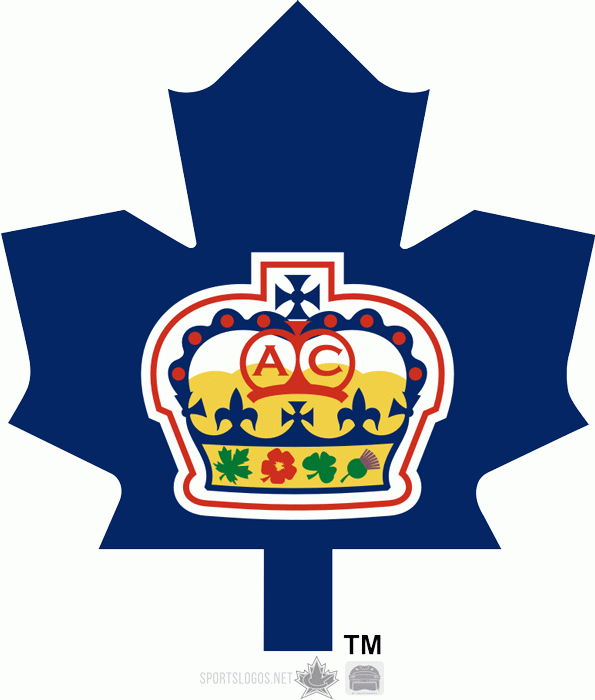 Toronto Marlies 2005 06-2006 07 Alternate Logo v2 iron on transfers for T-shirts